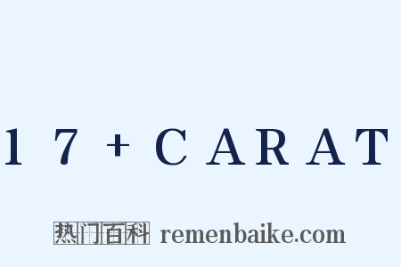 17+CARAT是什么意思的图片